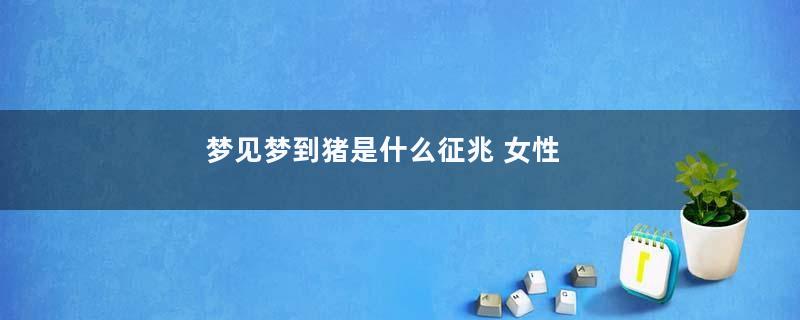 梦到梦到猪是什么征兆 女性